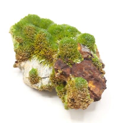 Pyromorphite, Saint-Salvy, Tarn.