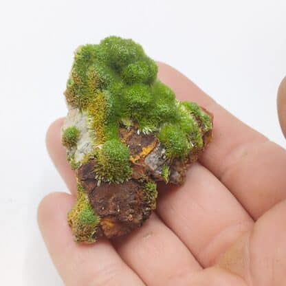 Pyromorphite, Saint-Salvy, Tarn.