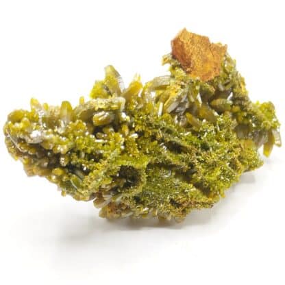 Pyromorphite, Le Rossignol, Chaillac, Indre.