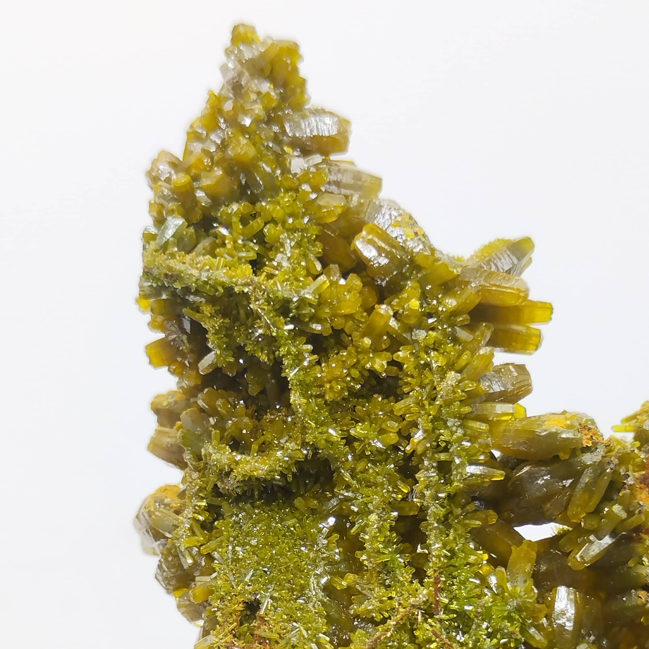 Pyromorphite, Le Rossignol, Chaillac, Indre.