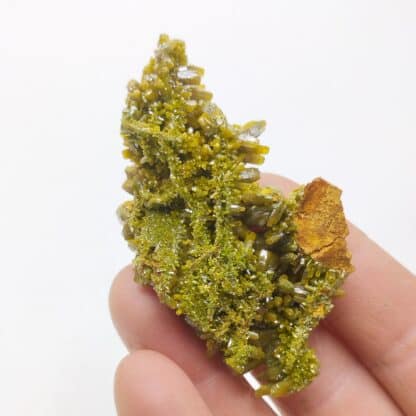 Pyromorphite, Le Rossignol, Chaillac, Indre.