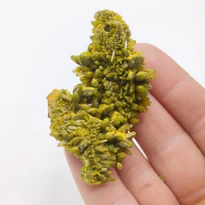 Pyromorphite, Le Rossignol, Chaillac, Indre.