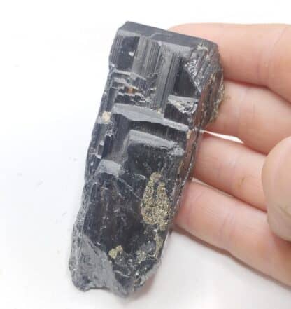 Wolfram (Wolframite) & Gilbertite, Panasqueira, Portugal.