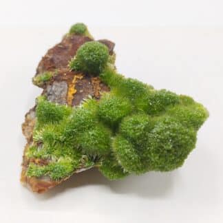 Pyromorphite, Saint-Salvy, Tarn.