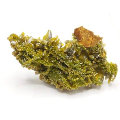 Pyromorphite, Le Rossignol, Chaillac, Indre.