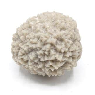 Calcite sableuse, Nemours, Seine-et-Marne.