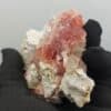Fluorine rouge, Les Droites, Chamonix, Haute-Savoie, France.