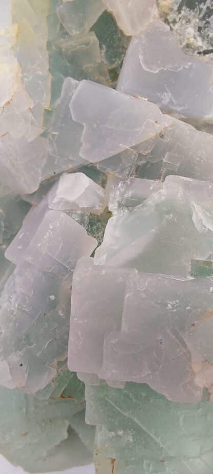 Fluorite, Chobelwand-Dürrschrennen caves, Appenzell, Suisse.