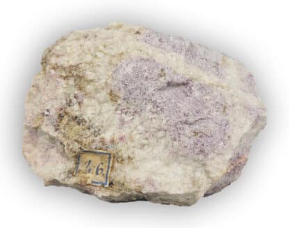 Lépidolite, Chedeville, Haute-Vienne.