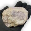 Lépidolite, Chedeville, Haute-Vienne.