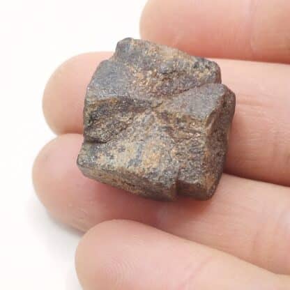 Staurotide (Staurolite) maclé, Baud, Morbihan, Bretagne.