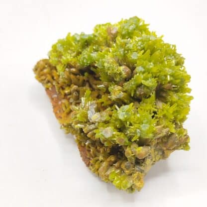 Pyromorphite, Mine des Farges, Ussel, Corrèze, Limousin.