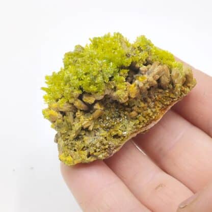 Pyromorphite, Mine des Farges, Ussel, Corrèze, Limousin.