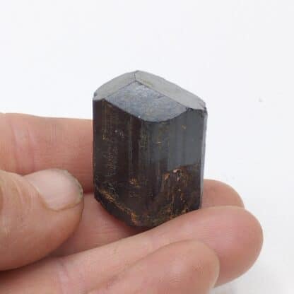 Tourmaline (Schorl), Madagascar.