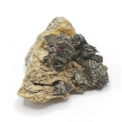 Muscovite & Pyrite, Saint Gothard, Suisse.