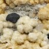 Sphalérite (Blende), Dolomite & Calcite, Obergesteln, Valais, Suisse.