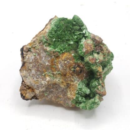 Torbernite, mine Les Bois Noirs, Forez, Loire.