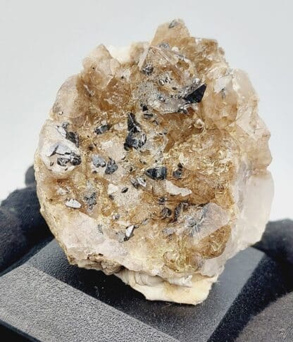 Anatase et Quartz, Manderanertal, Uri, Suisse.