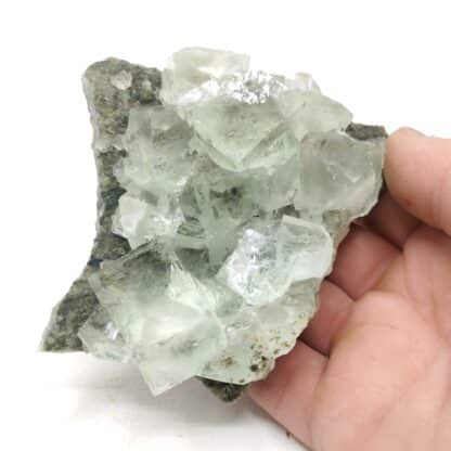 Fluorite sur gangue, Xianghuapu, Chenzhou, Hunan, Chine.