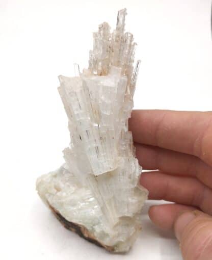 Apophyllite sur Natrolite, Brésil.