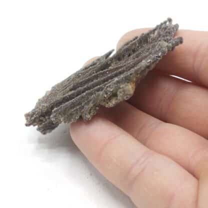 Calcédoine & Quartz, L’Argentolle, Saône-et-Loire, Morvan.