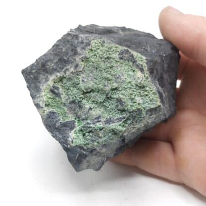 Variscite & Quartz, La Floquerie, Pannecé, Loire-Atlantique