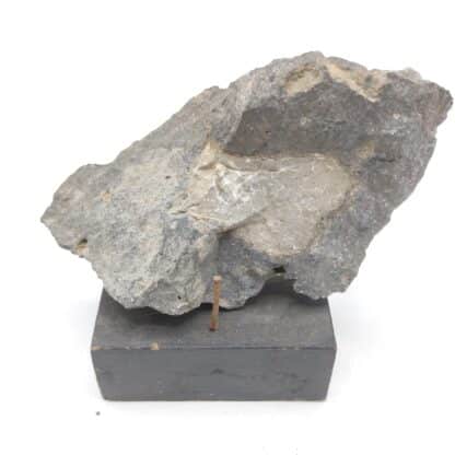 Hornblende basaltique, Montferrier-sur-Lez, Hérault.