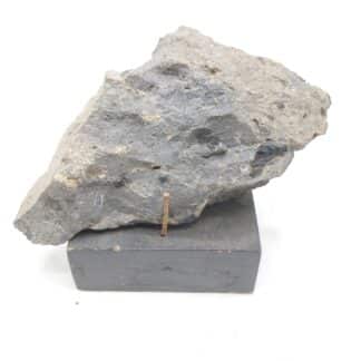 Hornblende basaltique, Montferrier-sur-Lez, Hérault.