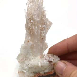 Apophyllite sur Natrolite, Brésil.