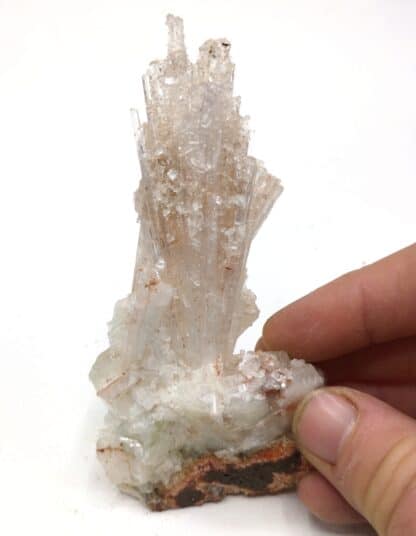 Apophyllite sur Natrolite, Brésil.