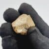 Staurotide, Baud, Morbihan, Bretagne.