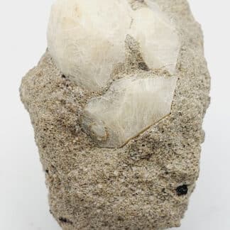 Leucite, Roccamonfina, Caserte, Campanie, Italie.