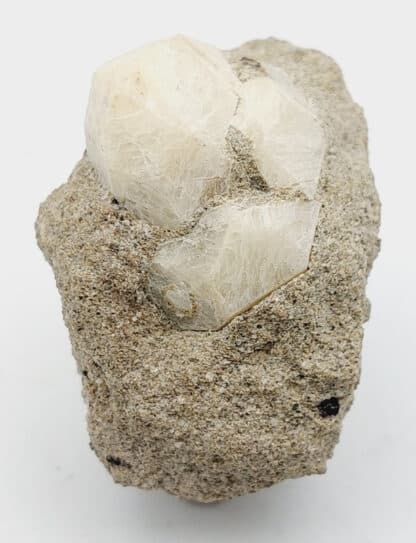 Leucite, Roccamonfina, Caserte, Campanie, Italie.