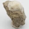 Leucite, Roccamonfina, Caserte, Campanie, Italie.