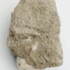 Leucite, Roccamonfina, Caserte, Campanie, Italie.