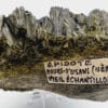 Épidote, Le Cornillon, Oisans, Isère.