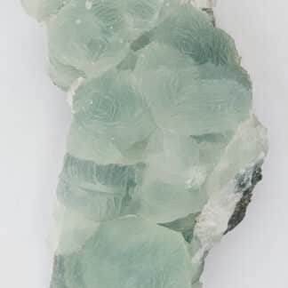 Prehnite, Bombay, Inde.