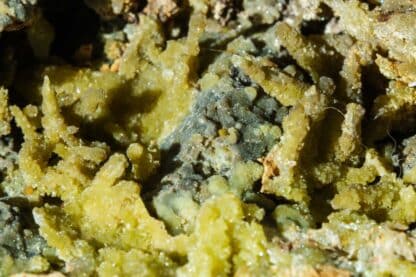 Pyromorphite ps. Cérusite, Cérusite et Galène, Sainte-Lucie, Saint-Léger-de-Peyre, Lozère.