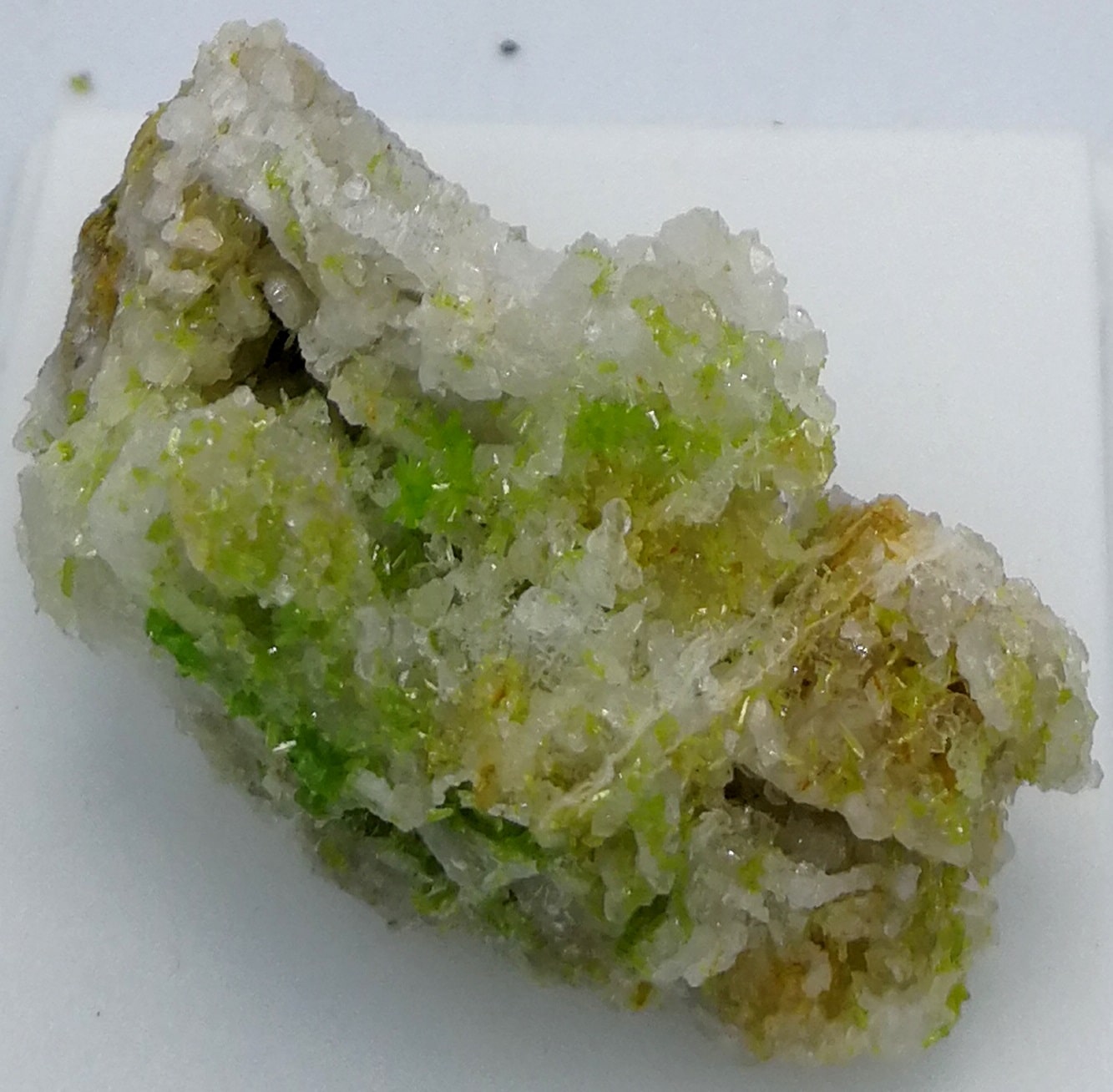 Pyromorphite, Les Farges, Ussel, Corrèze.