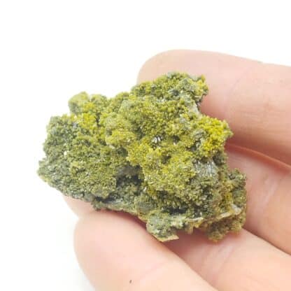 Pyromorphite, Proprières, Beaujeu, Rhône.