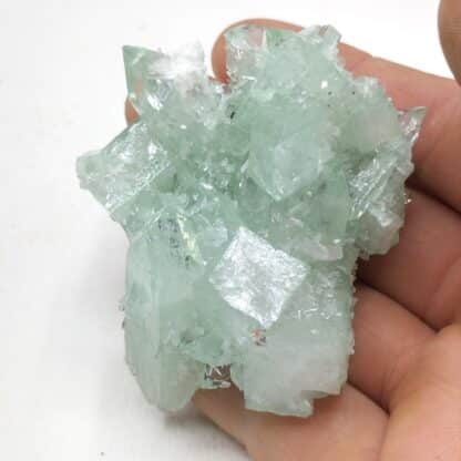 Apophyllite verte, Poona, Inde.