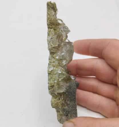 Quartz, Epidote & Chlorite, Arvigo, Grisons, Suisse.