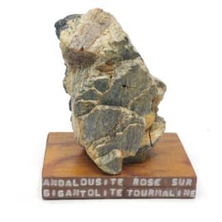 Gigantolite, Cordiérite & Andalousite, La Chaumette, Lozère.