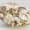 Muscovite « Testacée », Chabannes, Haute-Vienne.