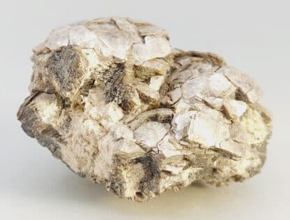 Muscovite « Testacée », Chabannes, Haute-Vienne.