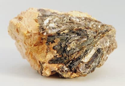 Muscovite « Palmée », Chabannes, Haute-Vienne.