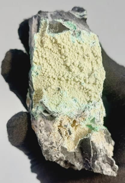 Variscite et Wawellite, carrière de la Floquerie, Pannecé, Loire-Atlantique.