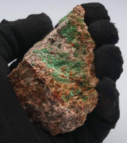 Torbernite, Prévinquières, Entraygues, Aveyron.