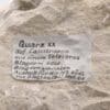 Quartz et Calcite, Diegten, Bâle, Suisse.