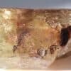 Lot d’Apatite, Cerro de Mercado, Durango, Mexique.